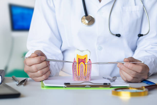 Best Emergency Orthodontic Services in Boonville, NC